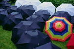 Umbrella Photo